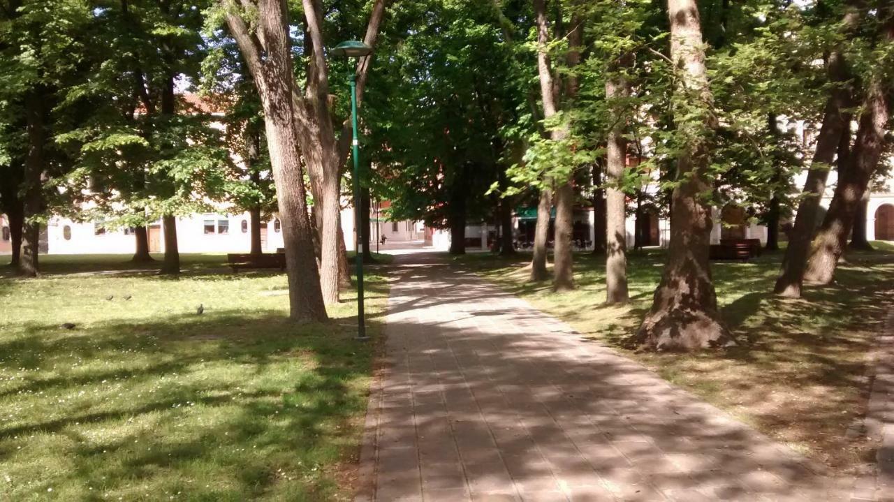 Апартаменти Ca' Giulia - Biennale - Free Wifi Fiber Венеція Екстер'єр фото
